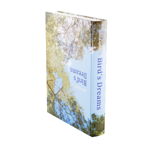 Accent Book 14