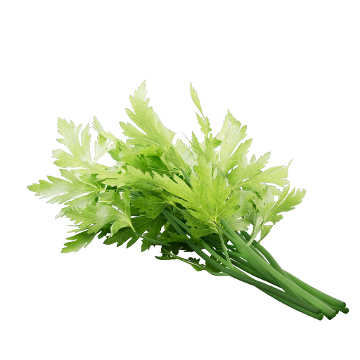 Parsley 1