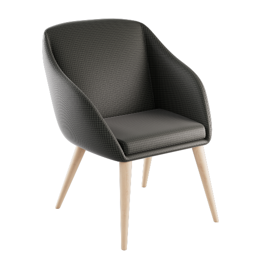 Dining Chair 5