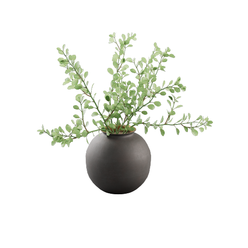 Potted Eucalyptus Plant 1