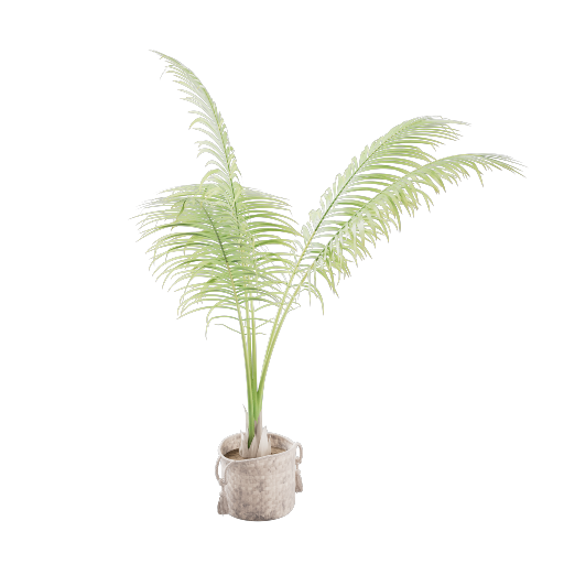 Potted Palm 1