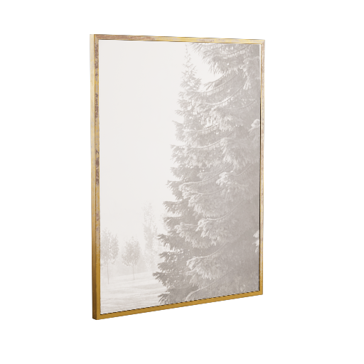 Framed Photograph 11