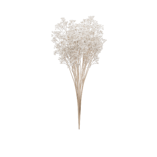 Dry Plant Bouquet