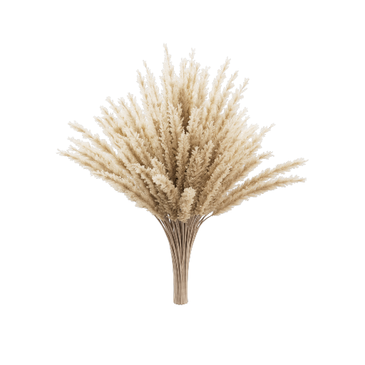 Pampas Bouquet 1
