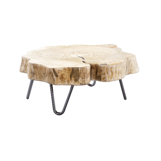 Tree Slice Coffee Table