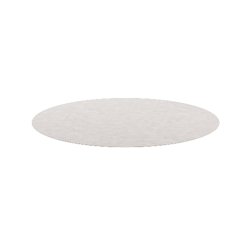 Round Outdoor Rug 1