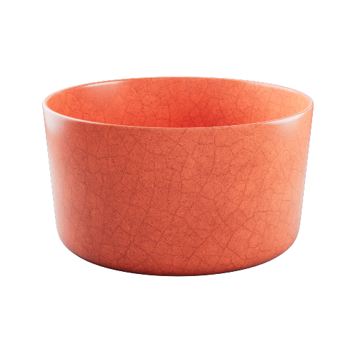 Ceramic Bowl 5
