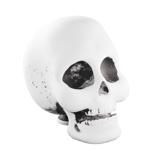 Decor Skull 1