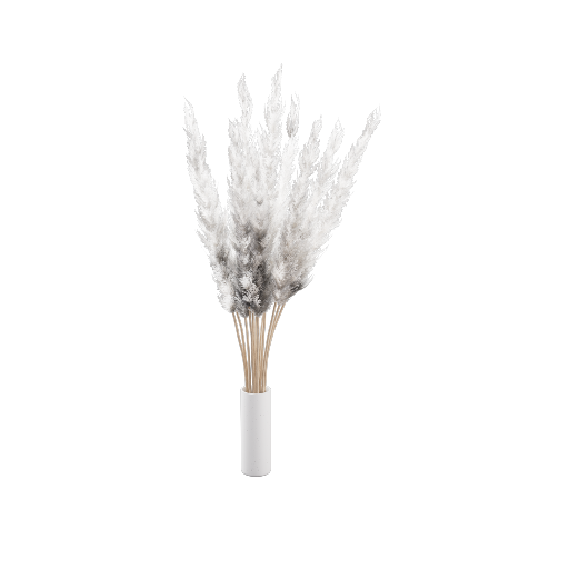 Vase Pampas Grass 10