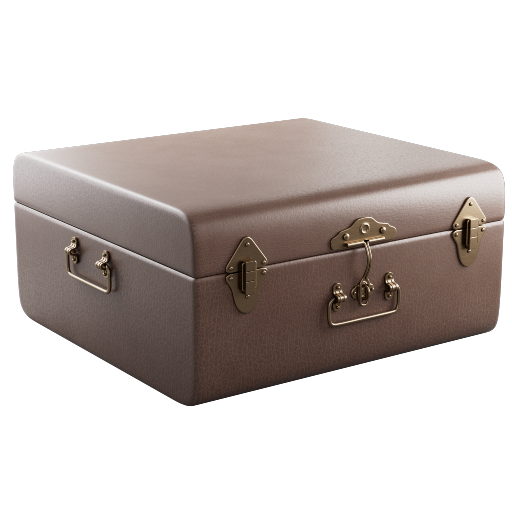 Trunk Suitcase Leather 1