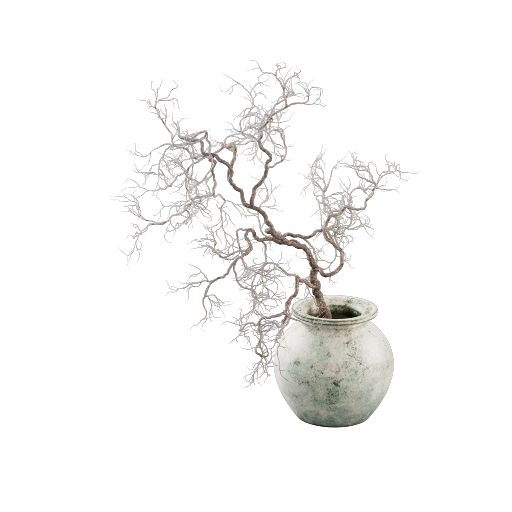 Vase Branch 1