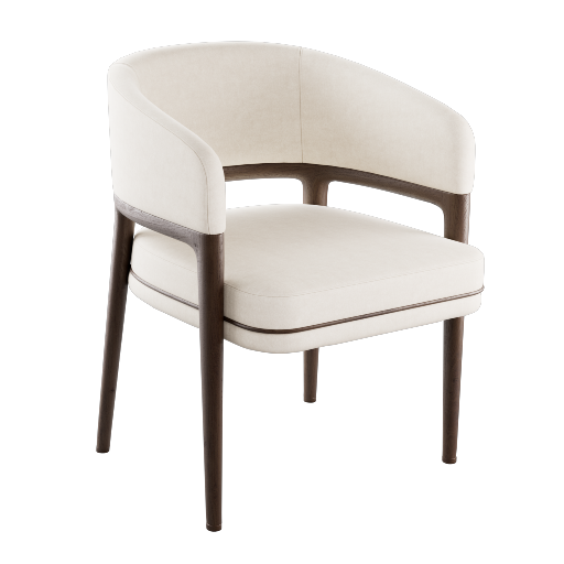 Dining Chair 10