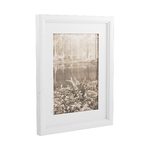 Framed Photograph 30