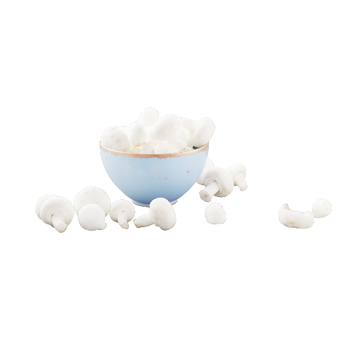 Mushroom Bowl 1