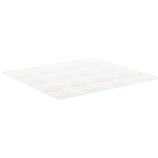 Large Area Rug 2