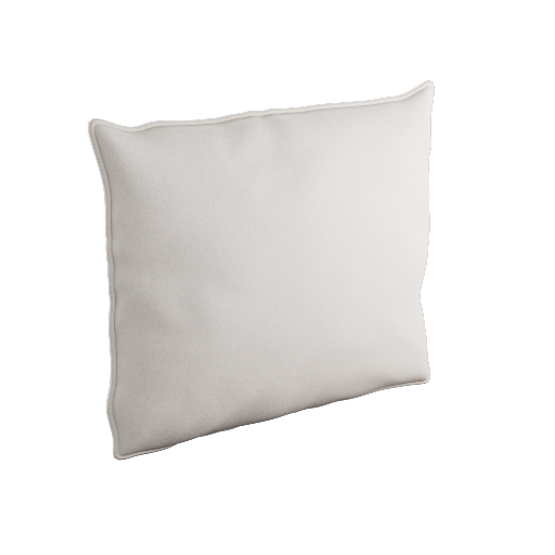 Throw Pillow 1