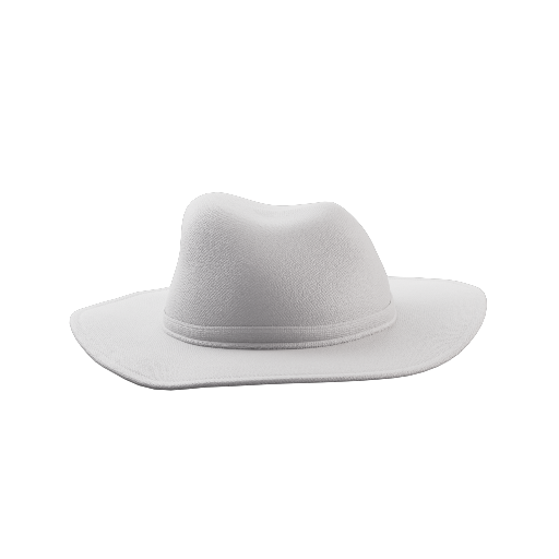 Wide Brim Hat 3
