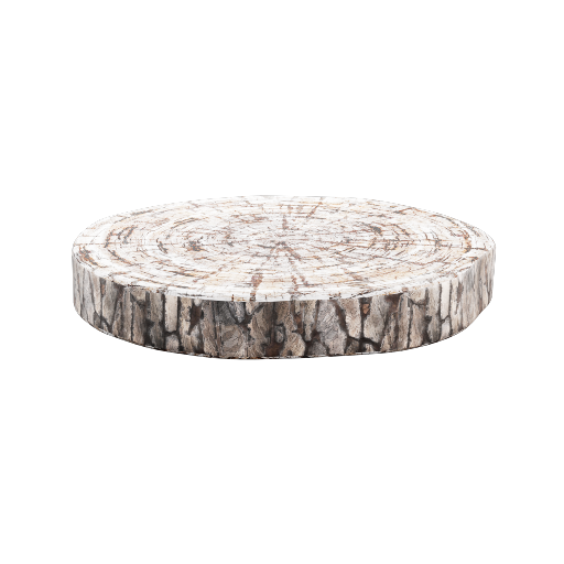 Wood Slice Tray 1