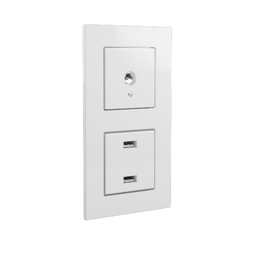 Outlet 1 Coax USB Vertical
