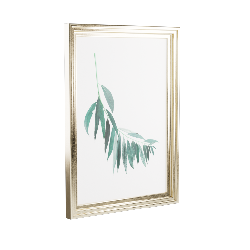 Framed Photograph 9