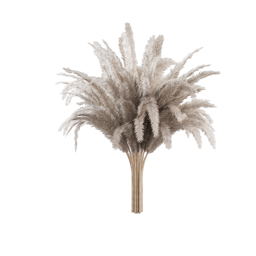 Pampas Bouquet 11