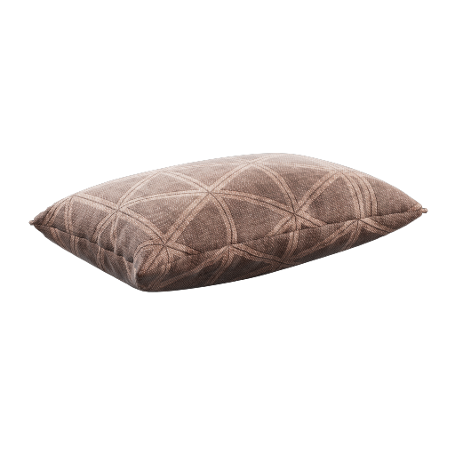 Throw Pillow 13