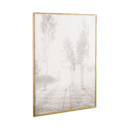 Framed Photograph 12
