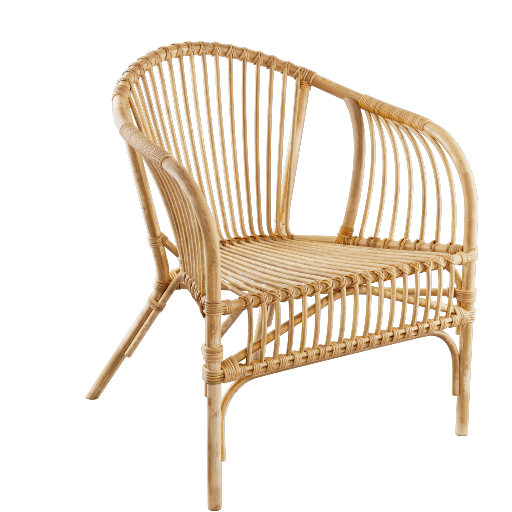 Rattan Accent Chair 2