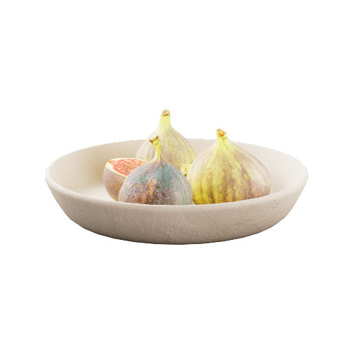 Fig Plate 1