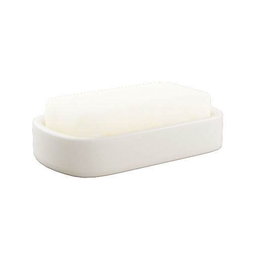 Soap Dish 3
