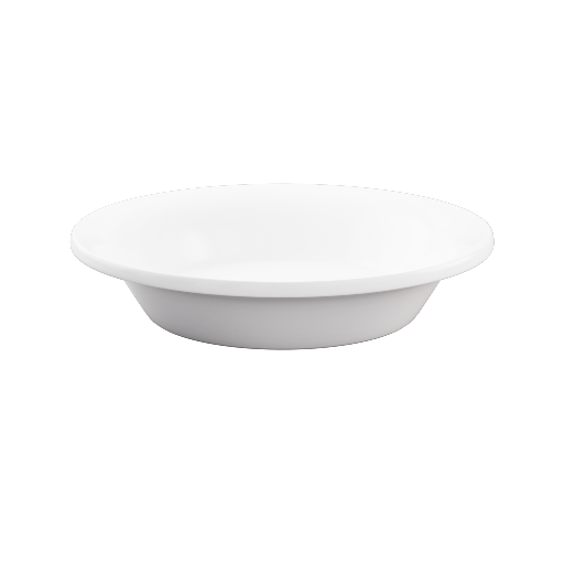 Shallow Bowl 4