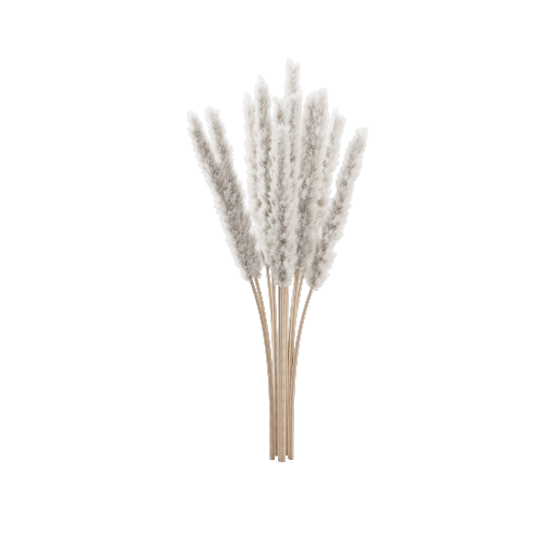 Pampas Bouquet 10