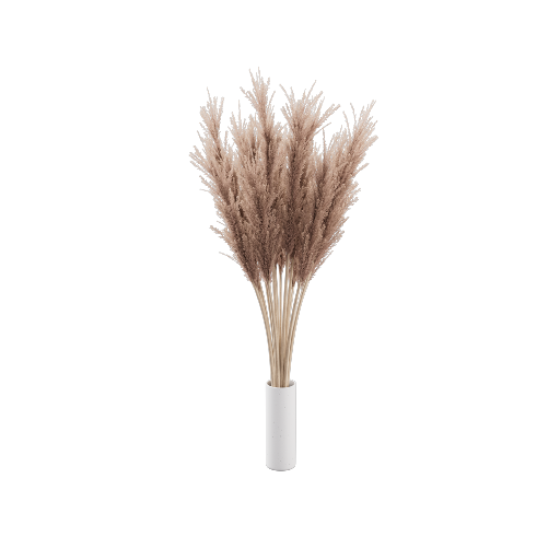 Vase Pampas Grass 5