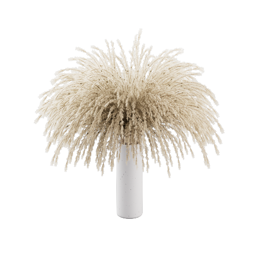Vase Pampas Grass