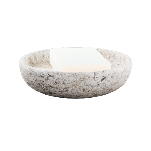 Soap Dish 5