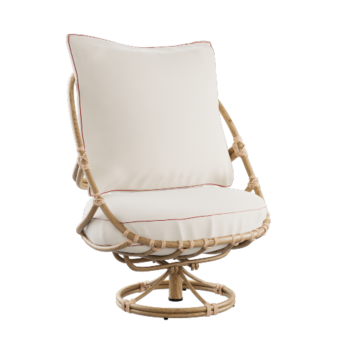 Accent Chair 1