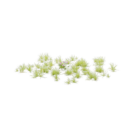 Lawn 3 Variant 7