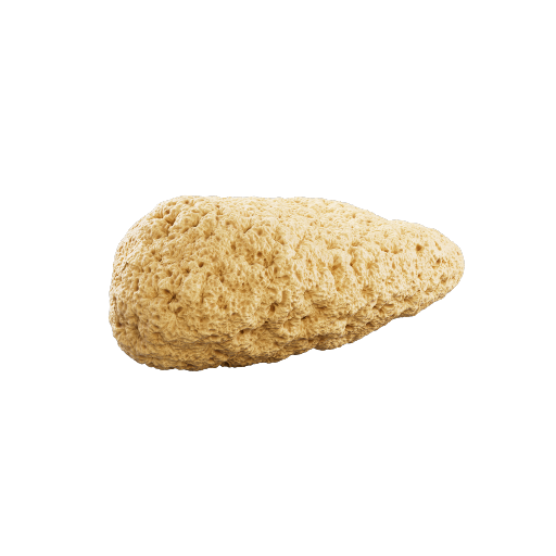Sponge 2