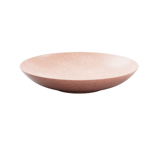 Dinner Plate 6