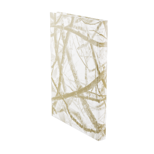 Accent Book 15