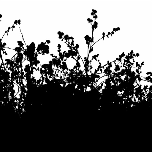 mxn_gobos_ext_grass_strip_tile_u_003_v01_srgb.png