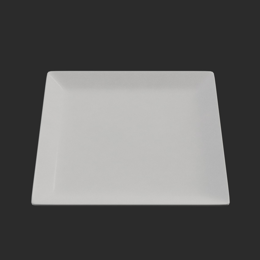 Dinner Plate 06