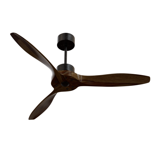 Ceiling Fan 02