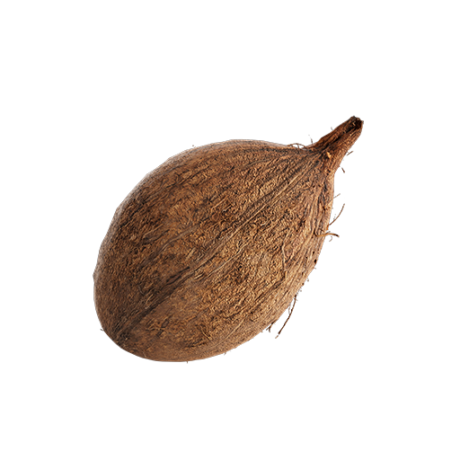Coconut 01