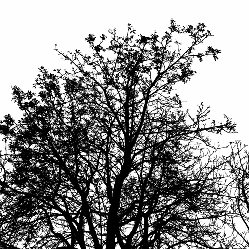 mxn_gobos_ext_tree_002_v01_srgb.png