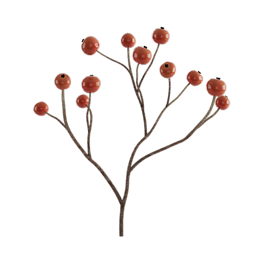 Berry Branch 04