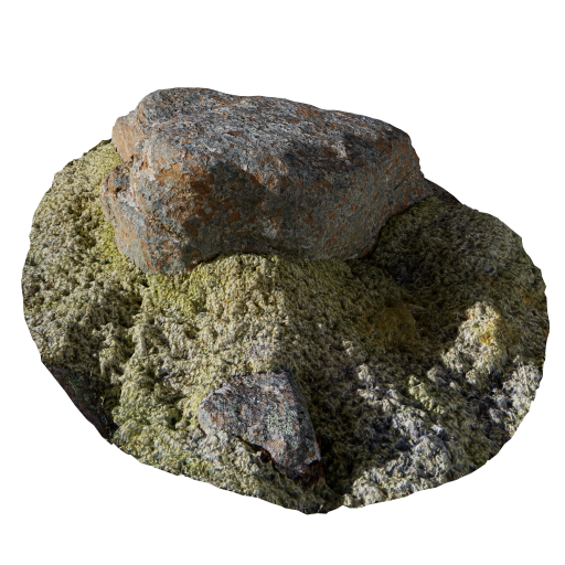 Rock 10