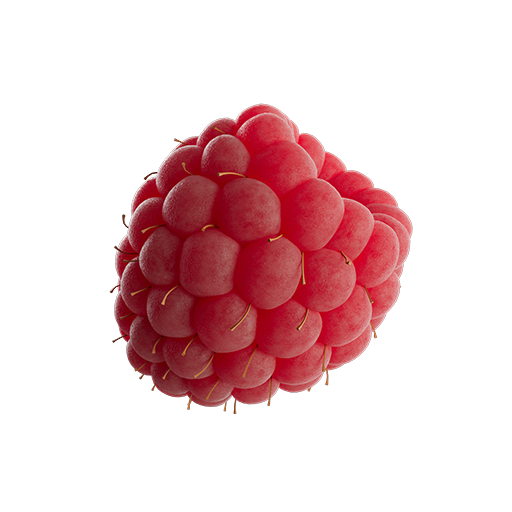 Raspberry 01
