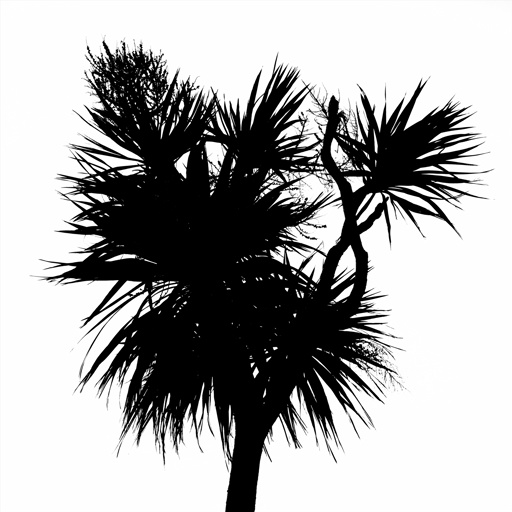mxn_gobos_ext_palm_small_004_v01_srgb.png