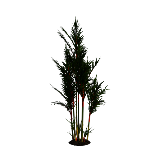 Lipstick Palm